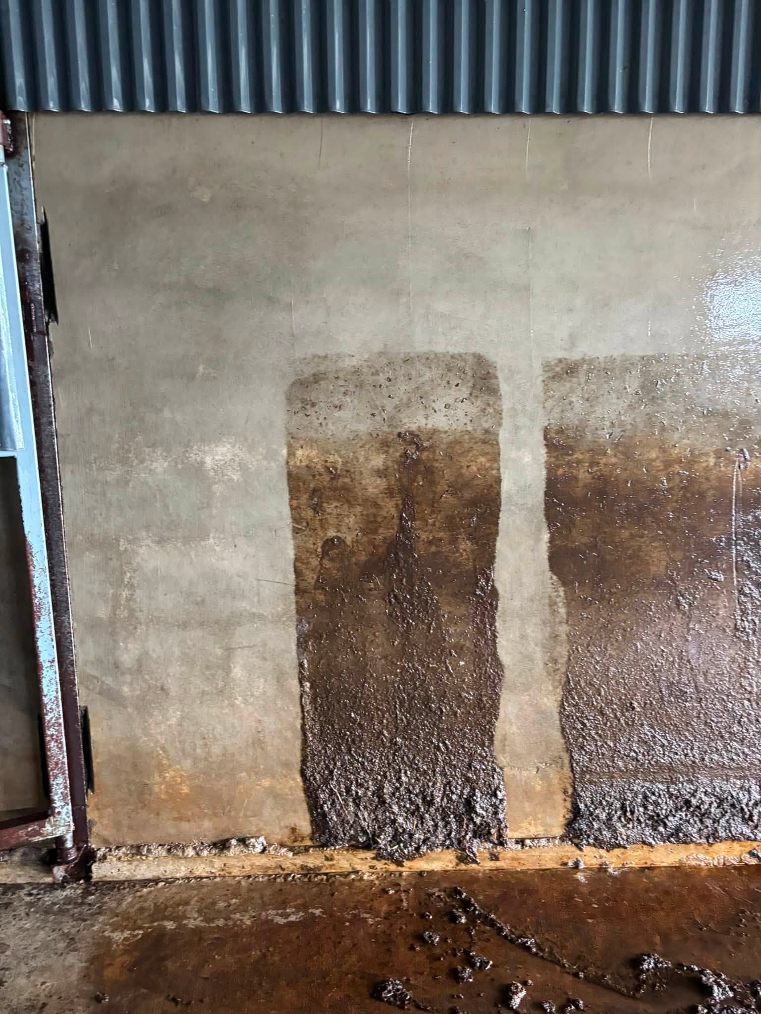 Cattle shed before and after power washing